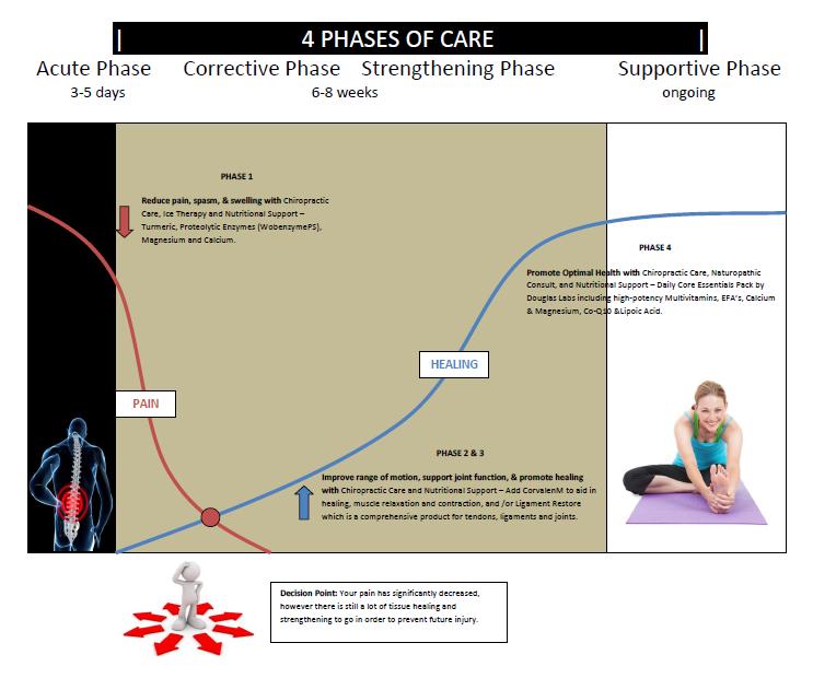 Chiropractor in Kitchener Phases of Care.JPG