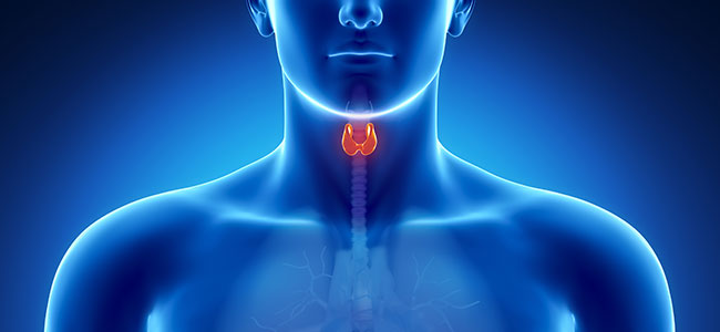thyroid-ebook.jpg