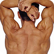 muscular back