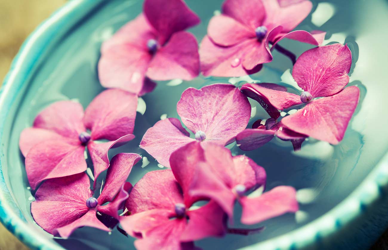 pink flowers in a blue bowl of water for relaxation during hydrotherapy