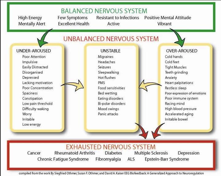 State of Nervous System