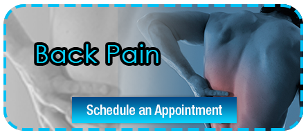 Appointment Schedule button