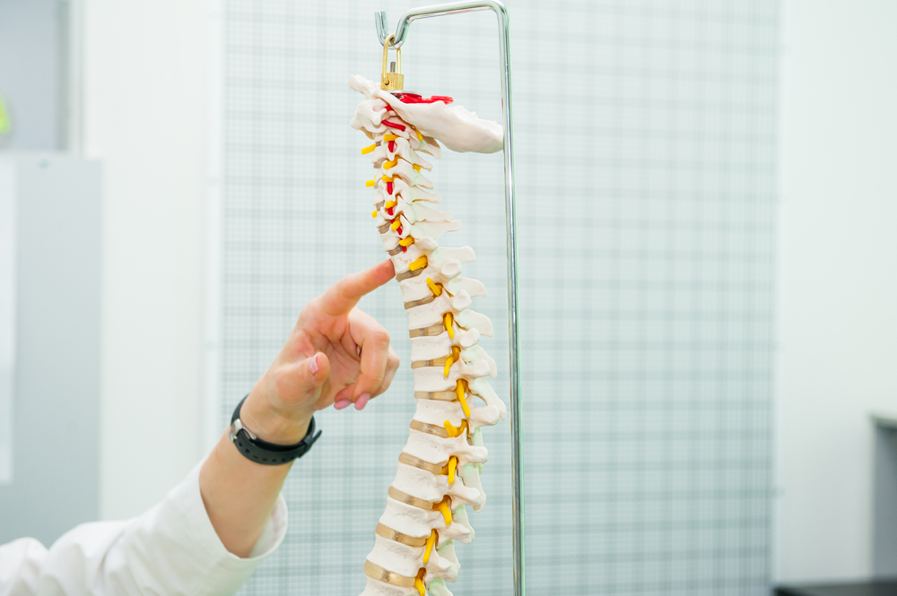 Doctor pointing to a model of the spine to show where a herniated disc is