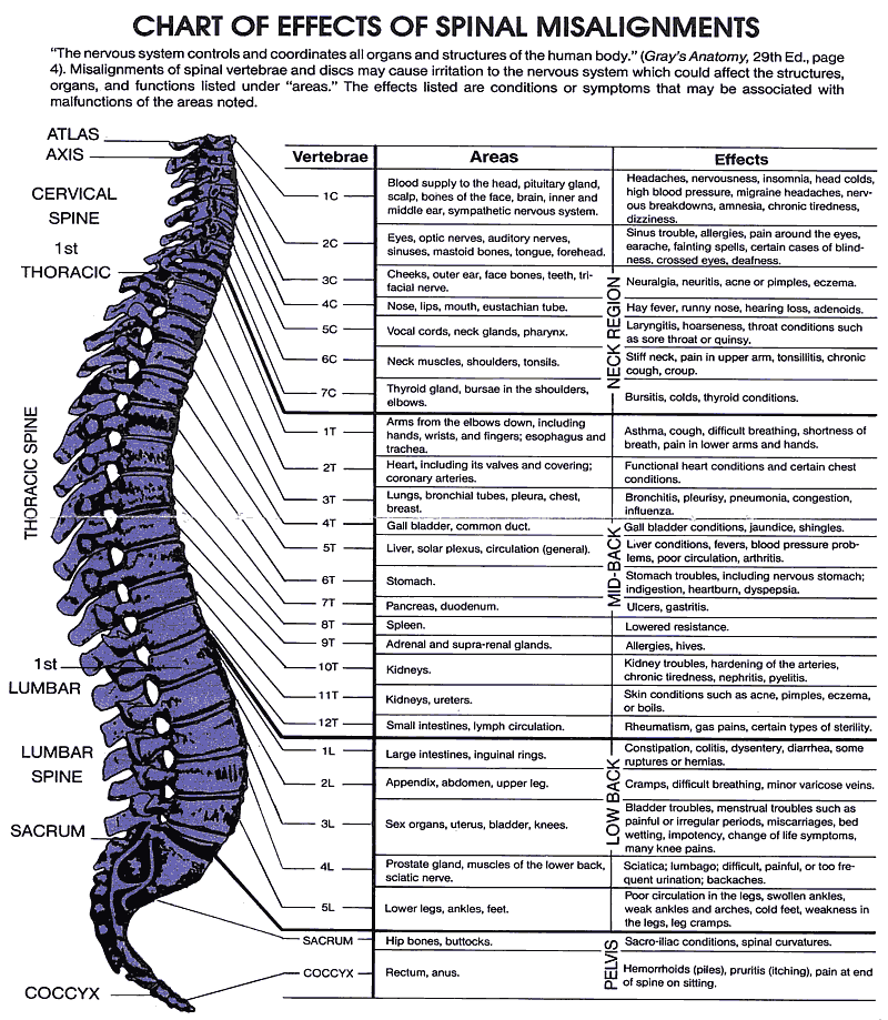 chiropractic_chart.gif