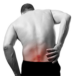 Low back pain can badly effect your lifestyle. Fight back with chiropractic care.
