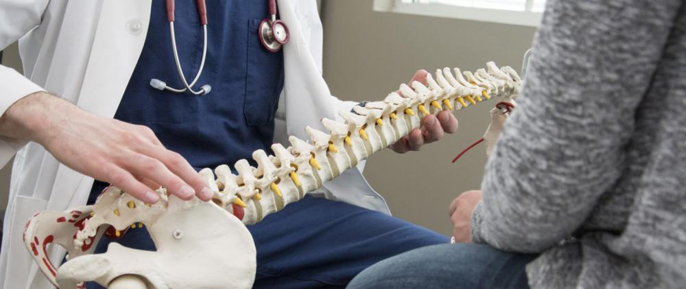 chiropractor and spine vertebrabe