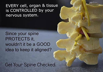 Spine Check