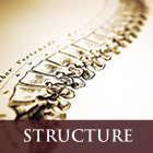 structure.jpg