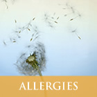 allergies_1.jpg