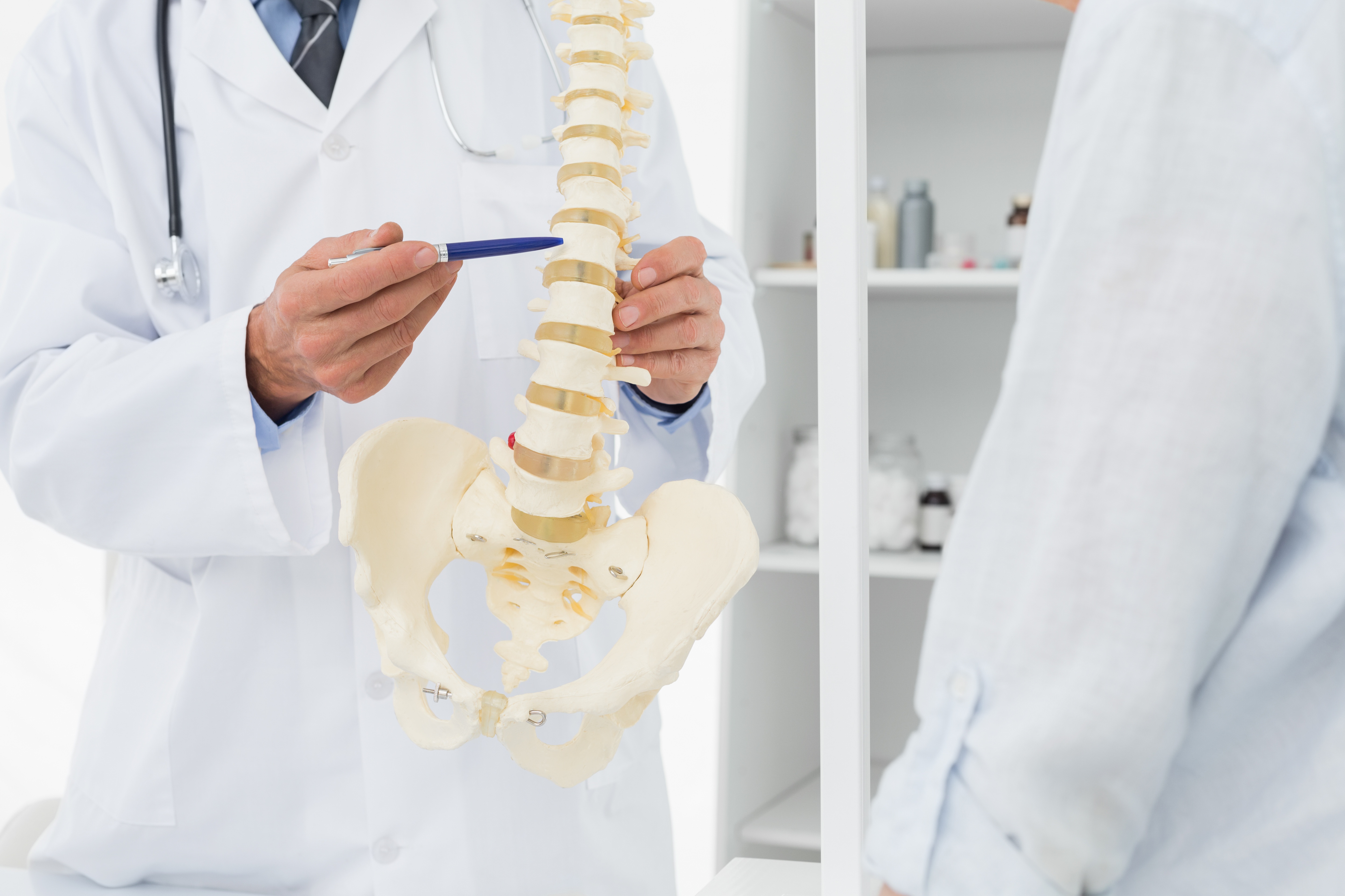 Chiropractor Explaining Spine
