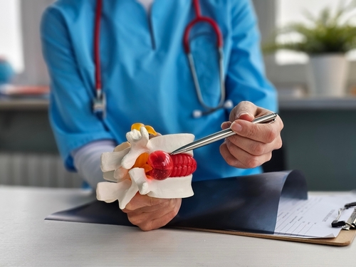 Chiropractor explaining spinal condition using herniated disc model