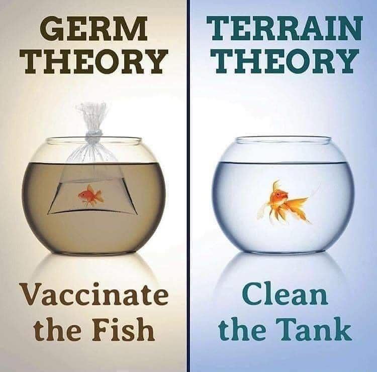GERM THEORY COMPARED TO TERRAIN THEORY