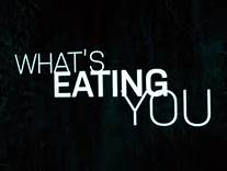 what's eating you