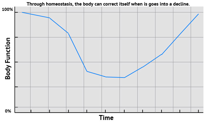 Graph2 Why Muscle Testing Works