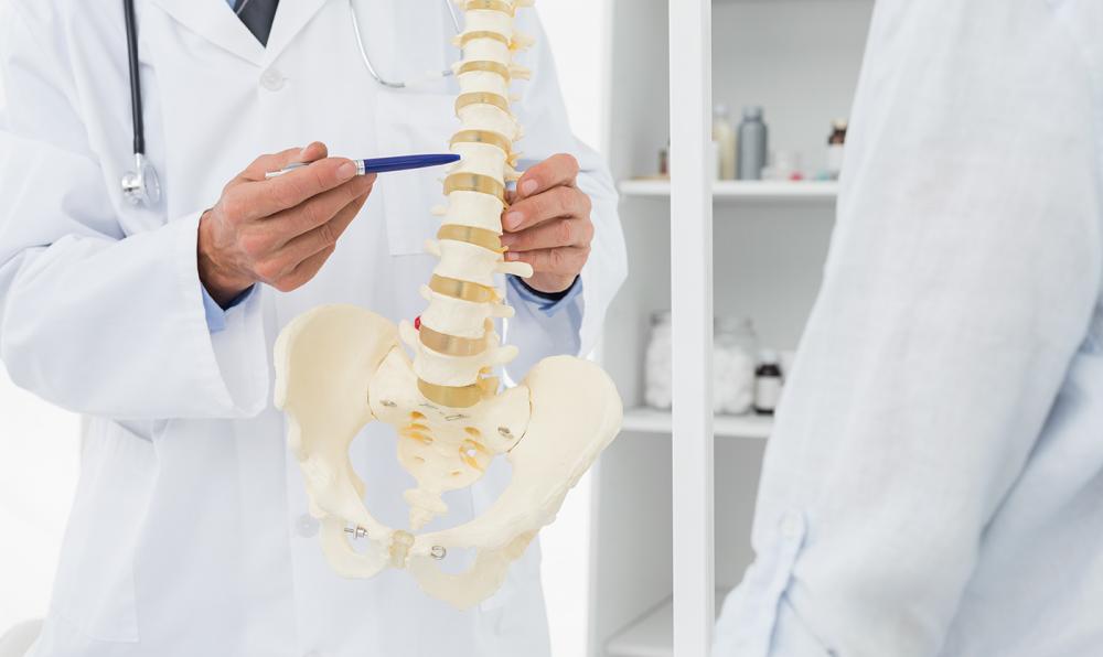 Chiropractor in Broomfield, CO showing patient a spine model and explaining