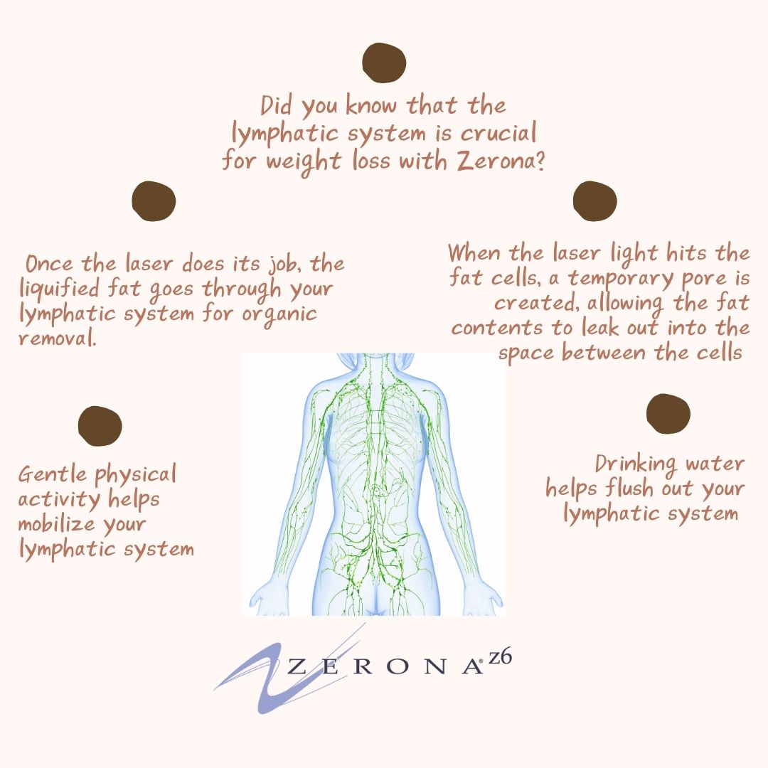 Zerona Body Contouring Laser image